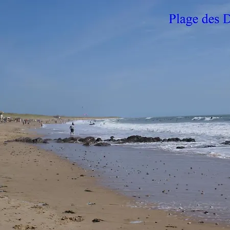 Albizia * Saint-Julien-des-Landes