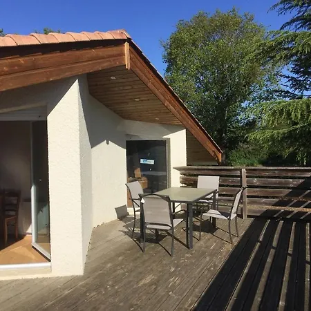 Albizia * Saint-Julien-des-Landes