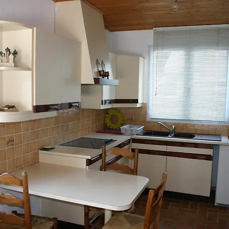 Albizia * Saint-Julien-des-Landes