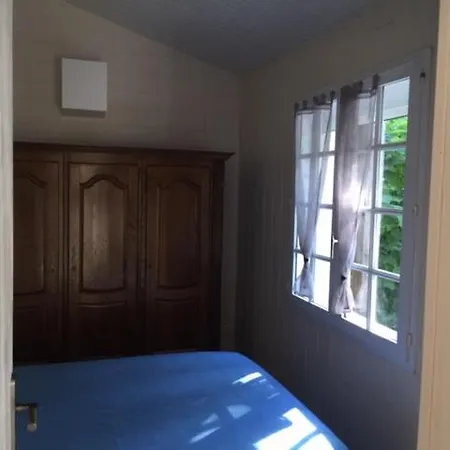 Albizia Saint-Julien-des-Landes