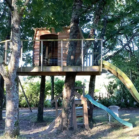 Albizia * Saint-Julien-des-Landes