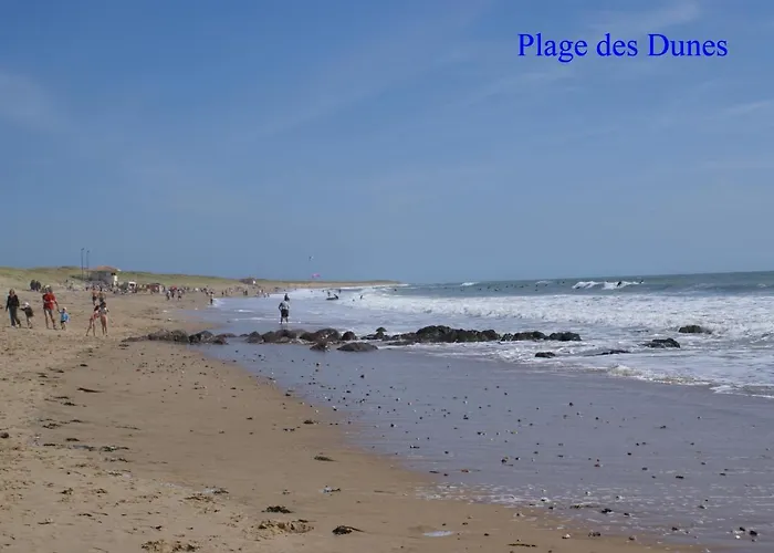 Albizia * Saint-Julien-des-Landes