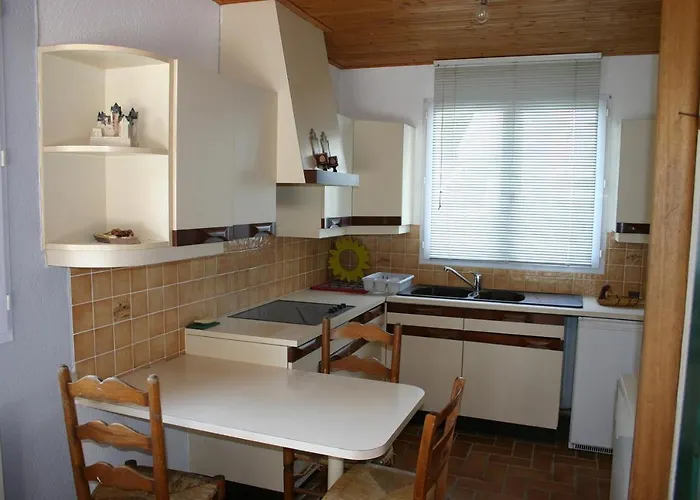 Albizia * Saint-Julien-des-Landes