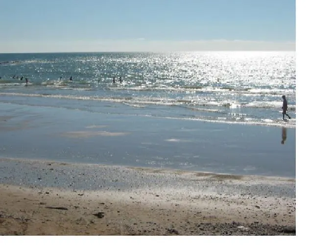 Albizia Appartement Saint-Julien-des-Landes