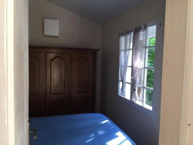 Albizia Saint-Julien-des-Landes